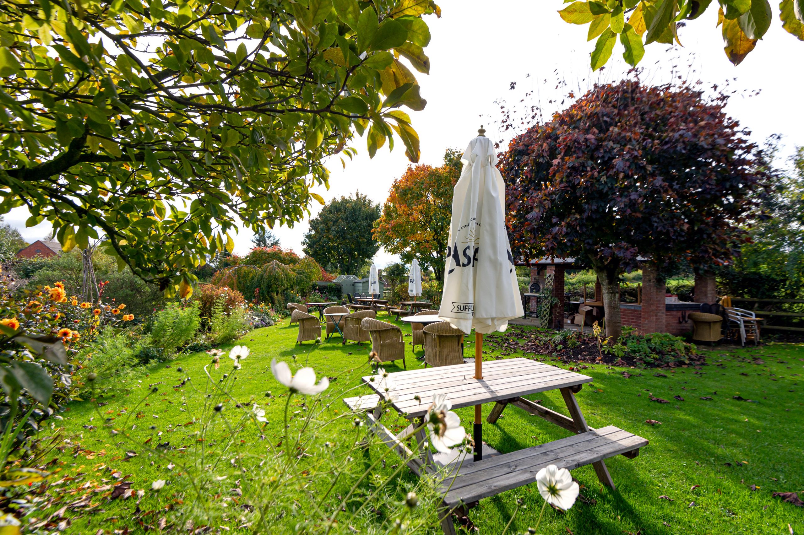 View of garden